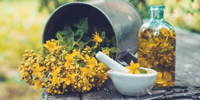 St. John's Wort for Seasonal Depression
